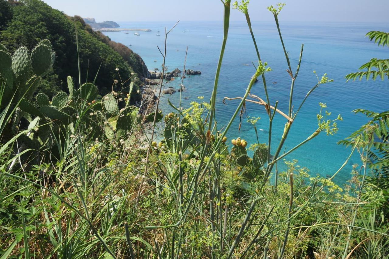 Vila Il Limoneto, Casa Vacanze Parghelia-Tropea Exteriér fotografie